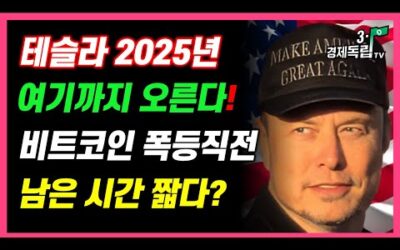 [2025년 테슬라+비트코인 어디까지 오르나! 머스크+마이클세일러 충격 전망!]#3.1경제독립tv