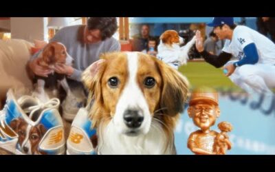 BARK AT THE PARK! OVER 50 MINUTES of INCREDIBLE DOGS at MLB ballparks (Ft. Decoy and other pups!)