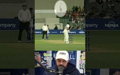 Batter distracted by a beer snake, a breakdown #cricket #sports #australia #india #beersnake