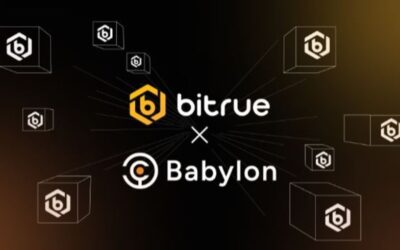 Bitrue crypto exchange has partnered with Babylon Labs