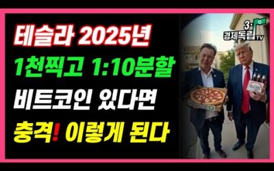 [테슬라, 2025년 1천찍고 1:10 액면분할?? 비트코인 있다면, 충격!! 이렇게 된다!! ]#재테크#해외주식투자#테슬라#비트코인#3.1경제독립tv