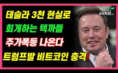 [테슬라 3천 현실로? 회개하는 텍까들!! 주가폭등 나온다!! 트럼프발 비트코인 충격!! ]#3.1경제독립tv