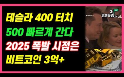 [테슬라 400 터치!! 500 빠르게 간다!!2025년 폭발 시점은?? 비트코인 3억+ ]#3.1경제독립tv