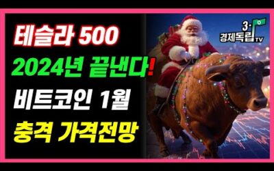 [테슬라, 500!! 2024년 끝낸다!! 비트코인, 1월 충격 가격 전망!! ]#재테크#해외주식#테슬라#엔비디아#비트코인#3.1경제독립tv