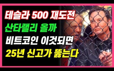 [테슬라 500 재도전!! 산타랠리 올까?? 비트코인, 이것 되면.. 25년 신고가 뚫는다!! ]#3.1경제독립tv