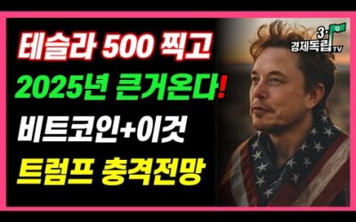 [테슬라, 500 찍고 2025년, 큰 거 온다!! 비트코인+이것, 트럼프 충격 전망!!]#3.1경제독립tv