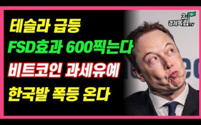 [테슬라 급등!! FSD 효과 600찍는다!! 비트코인 과세 유에, 한국발 폭등 온다!! ]#3.1경제독립tv