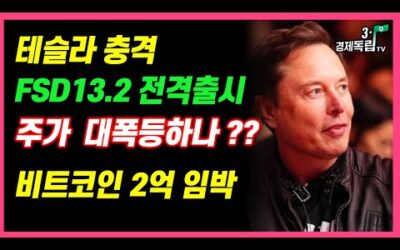 [테슬라 충격!! FSD 13.2 전격출시! 주가 대폭등하나?? 비트코인 2억 임박? ]#3.1경제독립tv