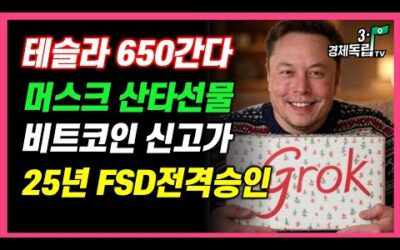 [테슬라650간다! 머스크 깜짝선물! 비트코인 신고가 찍었다! fsd25년 전격승인]#3.1경제독립tv