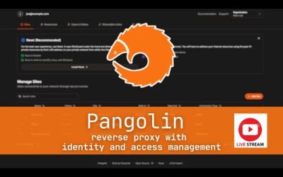 Digging Into Pangolin – A Reverse Proxy