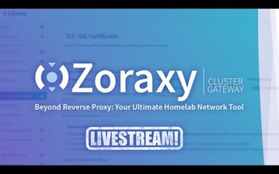 Digging Into Zoraxy – A Reverse Proxy