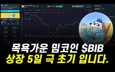 극 초기 밈코인 소개합니다, 목욕가운 밈코인 $BIB 상장 5일 됐습니다.