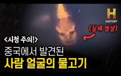 사람 얼굴을 가진 물고기🧑+🐟, 인면어가 중국에서 발견되었다😨 [👽 미스터리 팩트체크✅]