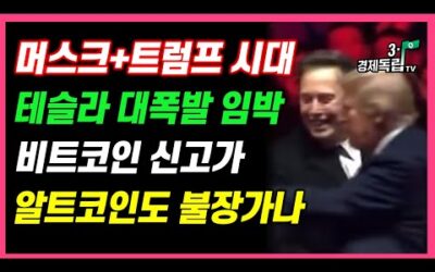 [속보]머스크+트럼프 시대 개막! 테슬라 대폭등 임박했나! 비트코인 신고가 기록! 알트코인 랠리시작되나]#3.1경제독립tv