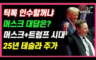 [속보]틱톡 인수할꺼냐? 머스크 대답은! 트럼프+머스크 시대 활짝! 25년 테슬라 주가는]#3.1경제독립tv