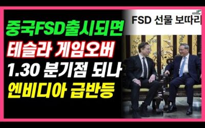 [중국FSD출시되면 테슬라 게임오버! 1.30분기점 되나? 엔비디아 급반등!]#3.1경제독립tv