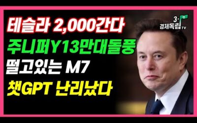 [테슬라 2000 간다! 주니퍼 모델 Y 13만대 돌풍!! 떨고 있는 M7, 챗 GPT 난리났다!!]#재테크#해외주식투자#테슬라#엔비디아#비트코인#3.1경제독립tv