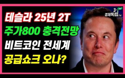 [테슬라 2025년 2T, 주가 800 충격전망!! 비트코인, 전세계 공급쇼크 오나??]#재테크#해외주식투자#테슬라#엔비디아#비트코인#3.1경제독립tv