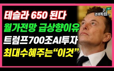 [테슬라 650 된다! 월가 전망 급상향 이유는? 트럼프 700조 AI투자! 최대 수혜주는 ‘이것’]#재테크#해외주식투자#테슬라#비트코인#3.1경제독립tv