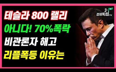 [테슬라 800 랠리! 아니다!! 70% 폭락 비관론자 해고!! 리플 폭등 이유는?]#재테크#해외주식투자#테슬라#엔비디아#비트코인#암호화폐#3.1경제독립tv