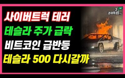 [테슬라 주가 급락!! 사이버 트럭 테러! 비트코인 급반등! 테슬라 500 다시갈까??]#재테크#해외주식투자#테슬라#비트코인#3.1경제독립tv