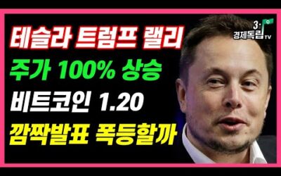 [테슬라, 트럼프 랠리! 주가 100% 상승!! 비트코인 1.20 깜짝발표, 폭등할까??]#재테크#해외주식투자#테슬라#엔비디아#비트코인#3.1경제독립tv