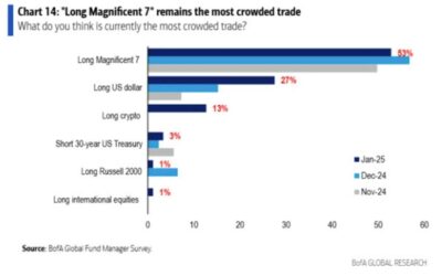 What are the most-crowded trades right now