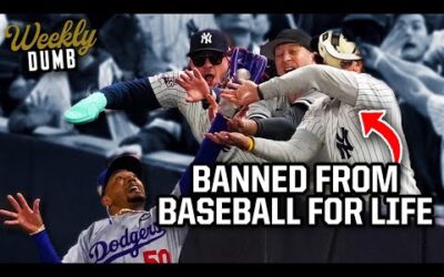 Yankees fans get banned indefinitely after interfering during the World Series | Weekly Dumb