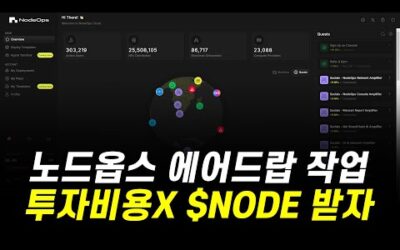 노드옵스 테스트넷 에어드랍 작업, 투자비용X CARV, Sophon 노드 보유자 필참