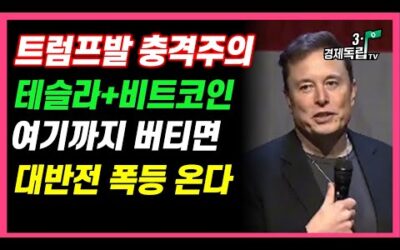 [속보]테슬라+비트코인 트럼프발 충격! 어디까지 떨어지나? 여기까지 견디면 충격 대반전 온다!]#3.1경제독립tv