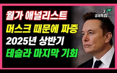 [월가 애널리스트, 머스크 때문에 짜증? 2025년 상반기, 테슬라 마지막 기회!!]#재테크#해외주식#테슬라#엔비디아#비트코인#3.1경제독립tv