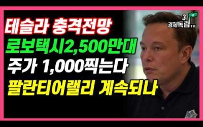 [테슬라 충격전망! 로보택시2,500만대 주가 1,000찍는다! 팔란티어랠리 계속될까]#3.1경제독립tv