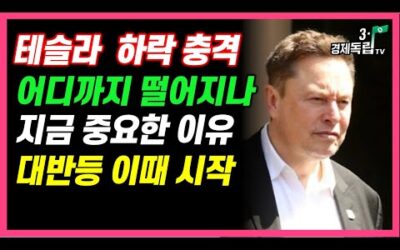 [테슬라 하락충격! 어디까지 떨어지나? 지금 중요한 이유 대반등 시점은 이때 시작된다]#3.1경제독립tv