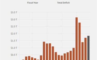 Elon Musk says Trump administration can cut $1 trillion out of the US deficit next year