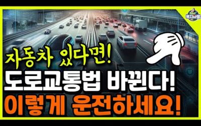 🚘자동차 있다면! 2025 바뀌는 도로교통법! 이렇게 운전하세요~