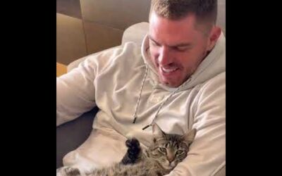 Just two World Series Champs hanging out 🐱 // 🎥: chelseafreeman5/IG