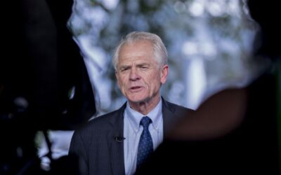 Navarro says German auto tariffs are grossly unfair