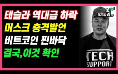 [3.1절특집]테슬라 역대급 하락 후 급반등 나오나? 머스크 충격발언! 비트코인 찐 바닥은 어디? 결국, 이것 확인]#3.1경제독립tv