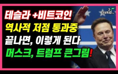 [테슬라+비트코인 역대급 저점 통과중! 끝나면 이렇게 된다! 머스크, 트럼프의 숨겨진 큰 그림]#3.1경제독립tv