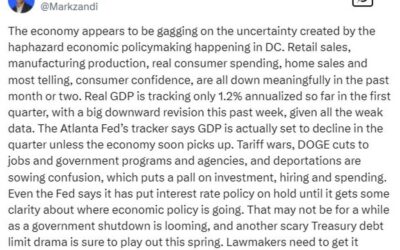 US “economy appears to be gagging” on haphazard economic policymaking in DC